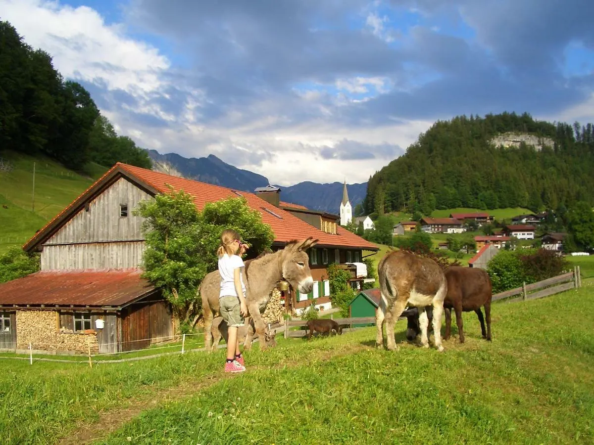 Ferienwohnung Haus Willi Oberstdorf